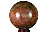 Colorful Petrified Wood Sphere - Madagascar #163364-1